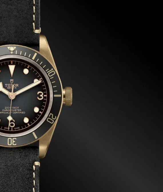 Black Bay Bronze