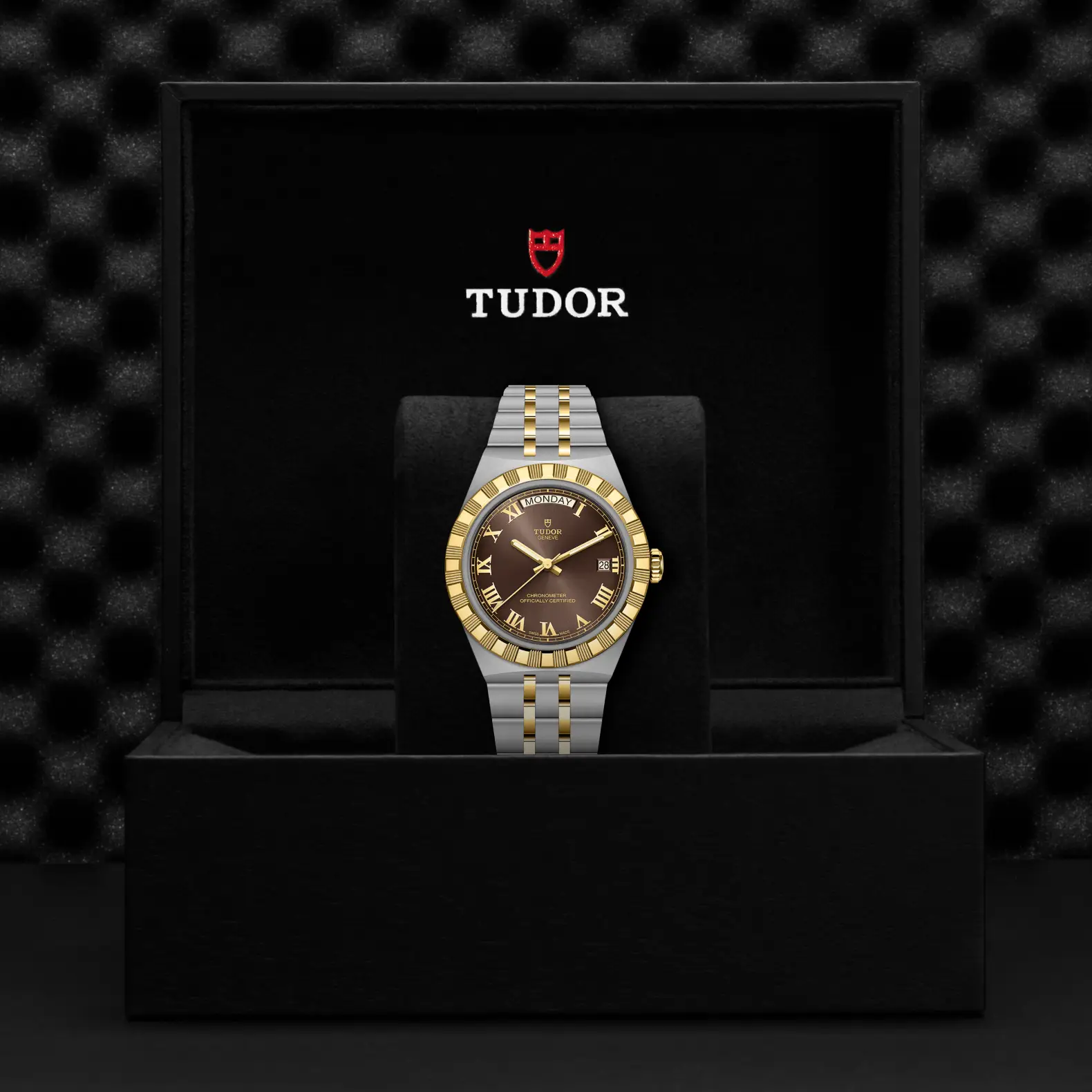 Reloj TUDOR Royal acero y oro amarillo 40mm con esfera marrón con números romanos: presentación en su caja oficial