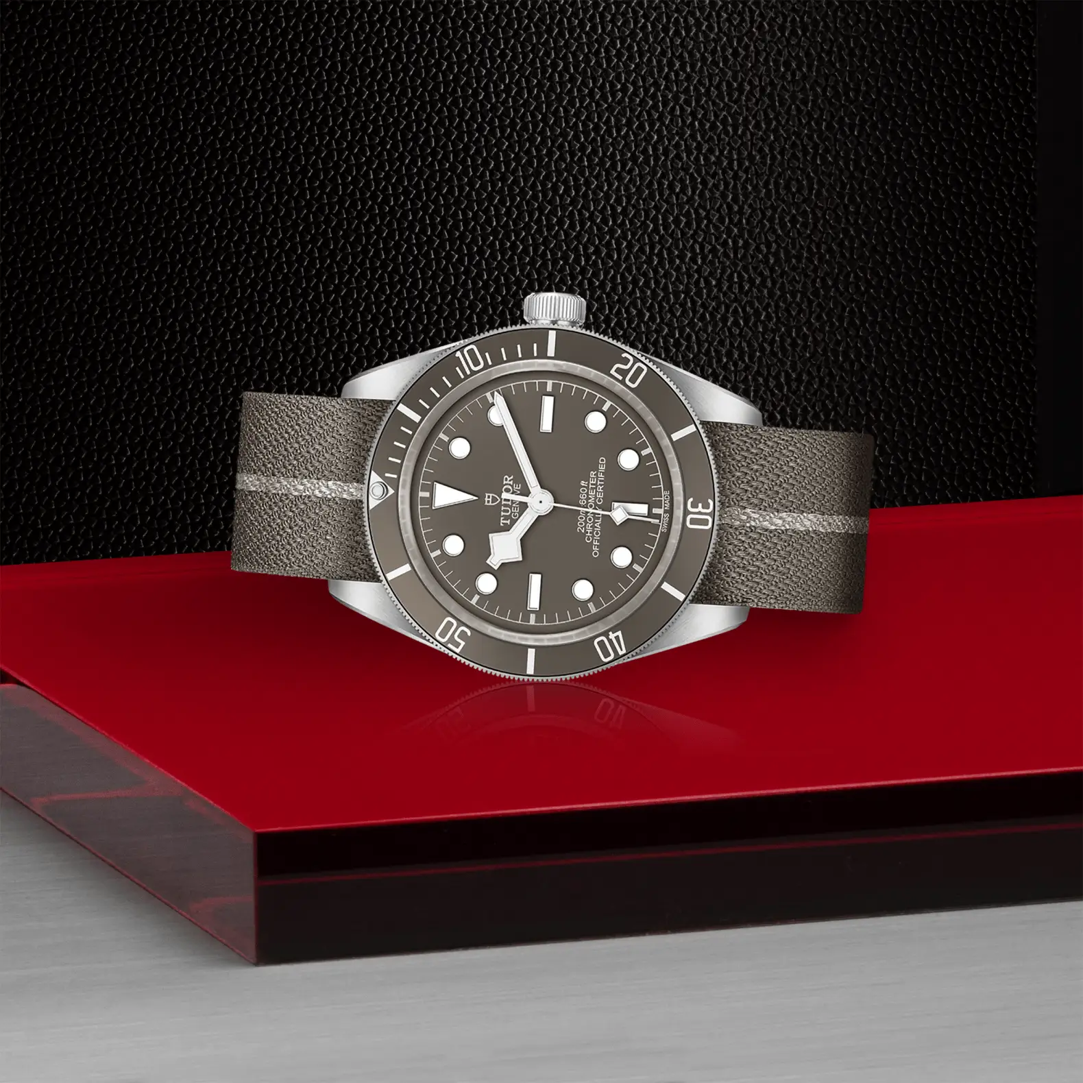 Reloj TUDOR Black Bay 58 925 con correa gris topo: vista de lado
