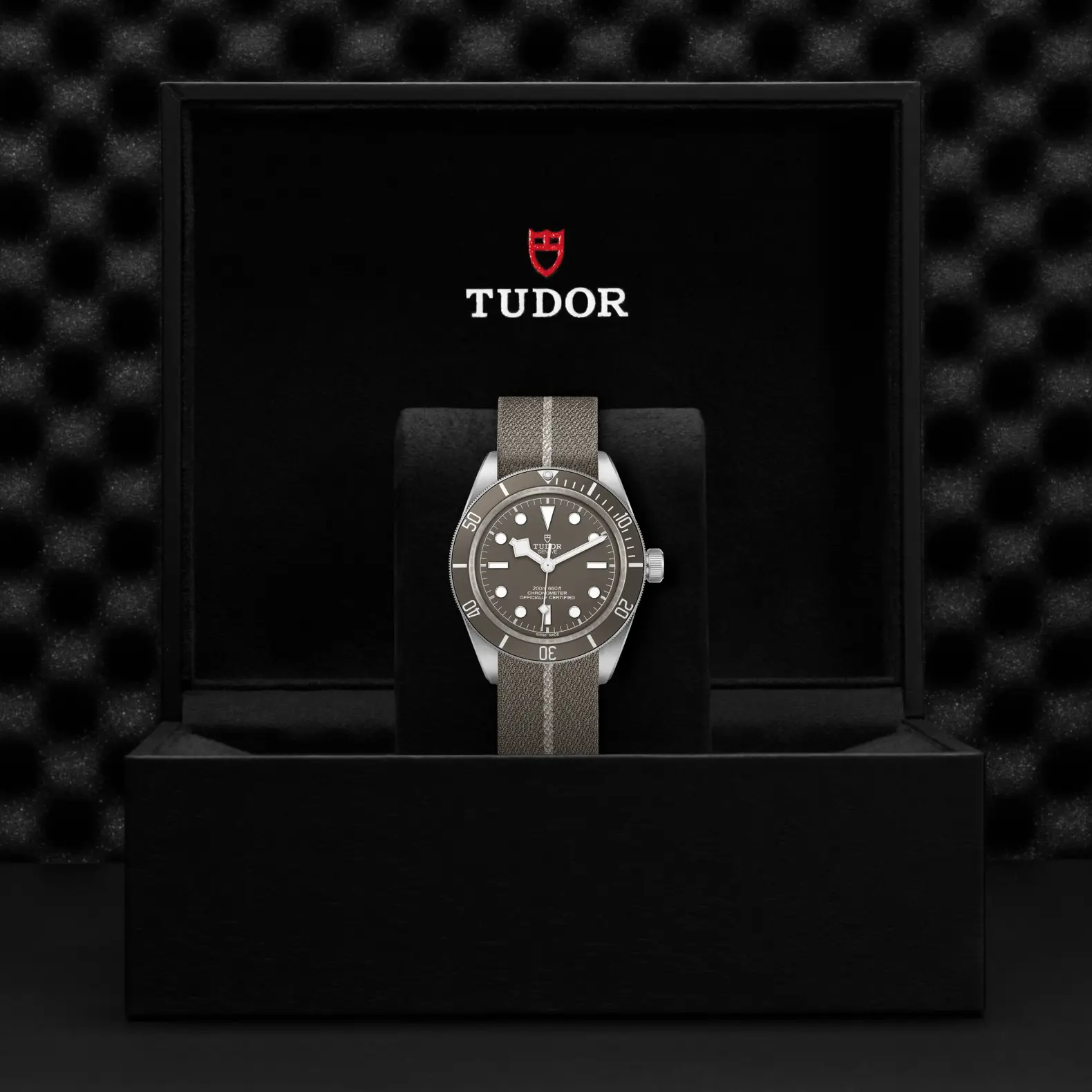 Reloj TUDOR Black Bay 58 925 con correa gris topo: presentación en su caja oficial