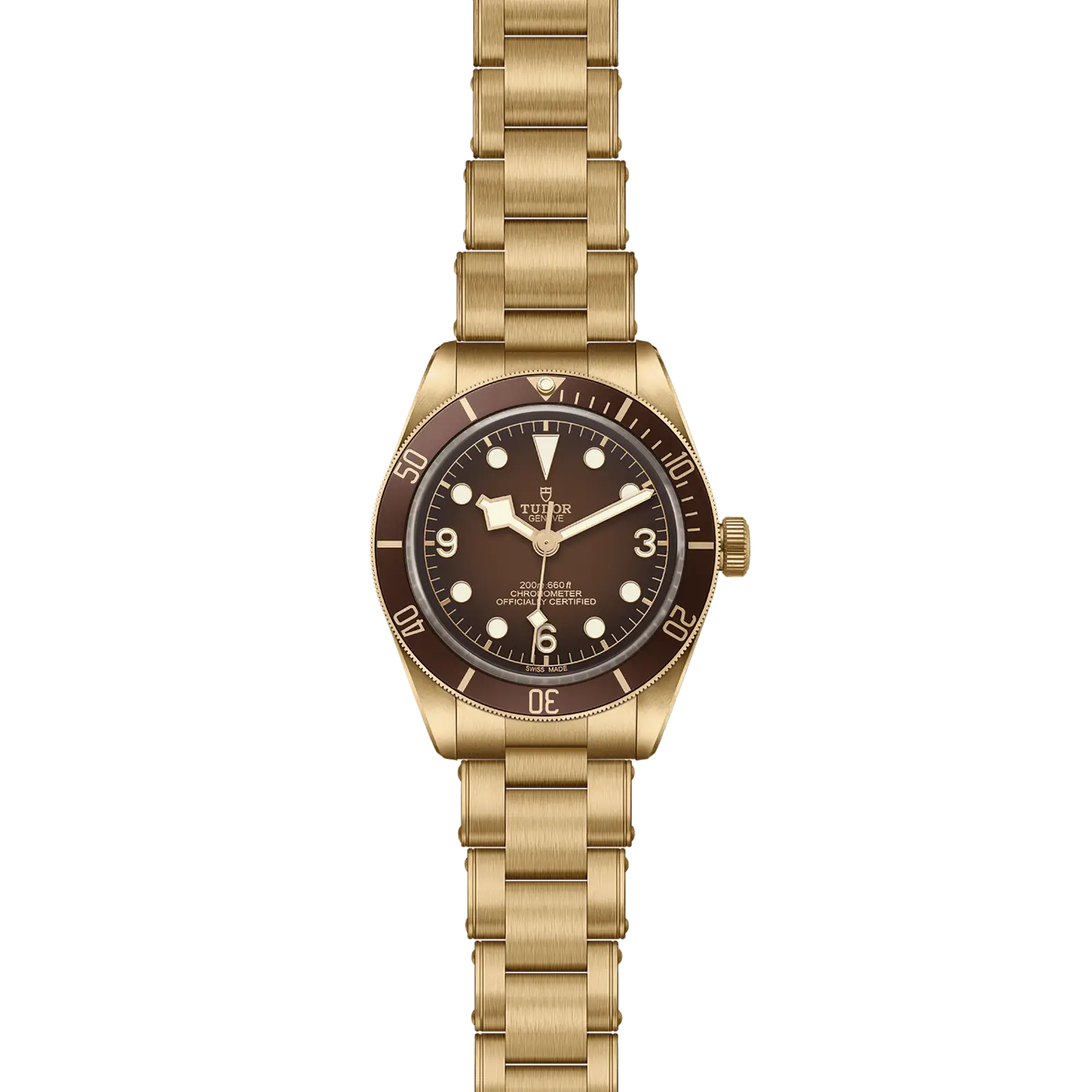 Reloj TUDOR Black Bay 58 Bronze: vista frontal