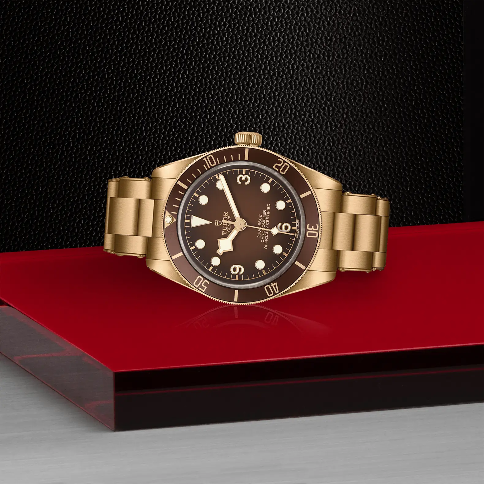 Reloj TUDOR Black Bay 58 Bronze: vista de lado