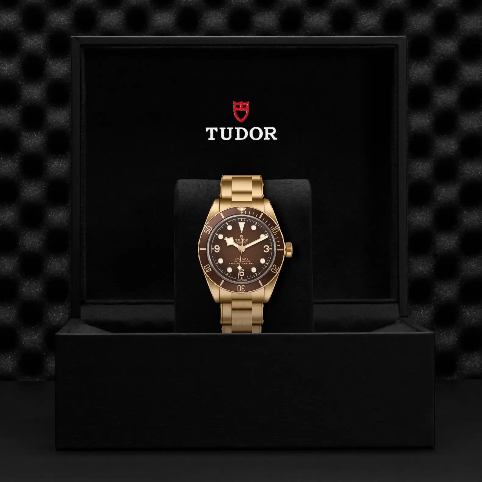 Reloj TUDOR Black Bay 58 Bronze: presentación en su caja oficial
