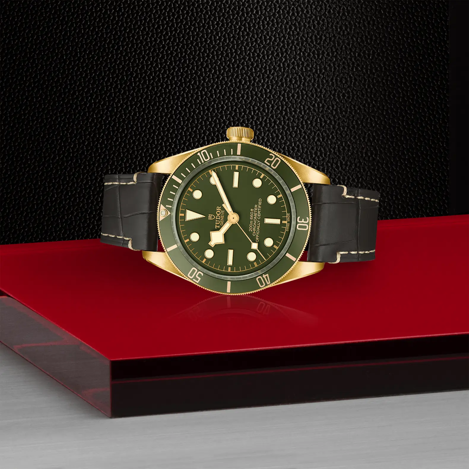 Reloj TUDOR Black Bay 58 18K con correa de cuero: vista de lado