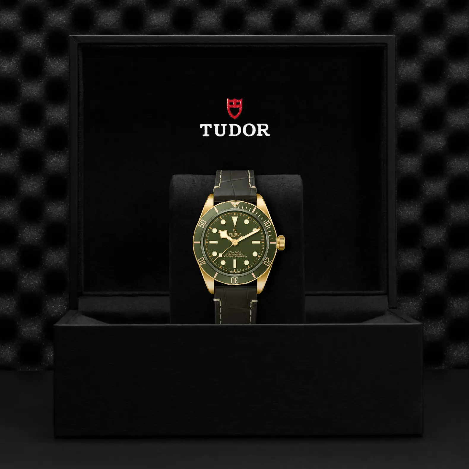 Reloj TUDOR Black Bay 58 18K con correa de cuero: presentación en su caja oficial