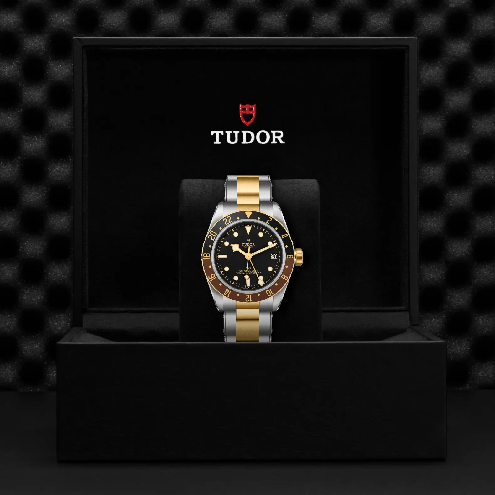 Reloj TUDOR Black Bay GMT S&G con brazalete de acero y oro amarillo: presentación en su caja oficial