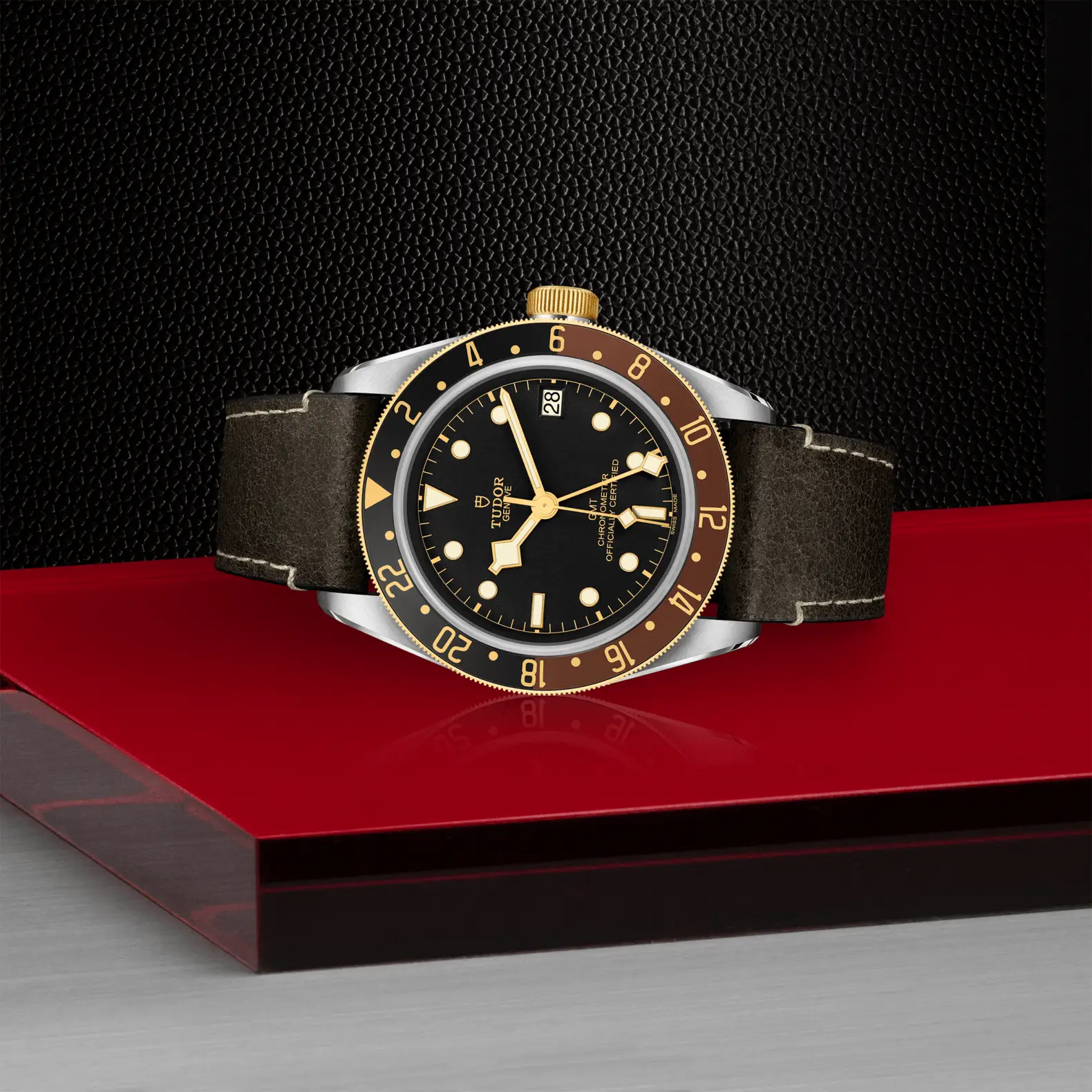 Reloj TUDOR Black Bay GMT S&G con correa de cuero marrón: vista de lado